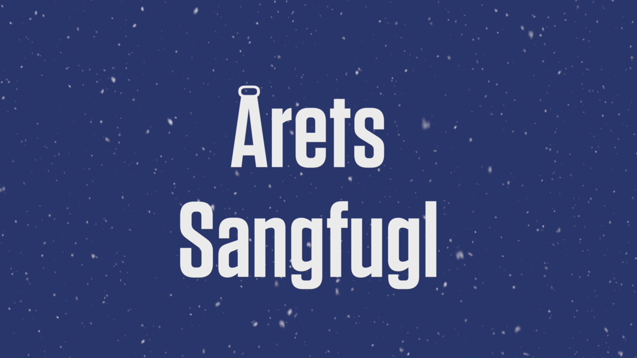 Julekalender luke 22